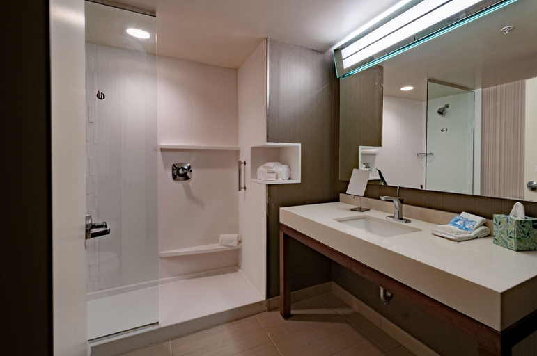 Bathroom 5, Courtyard Omaha East/Council Bluffs, IA, Pottawattamie