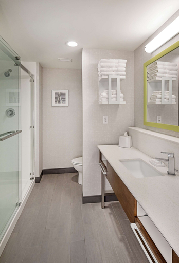 Bathroom 4, Hampton Inn Hastings, Adams