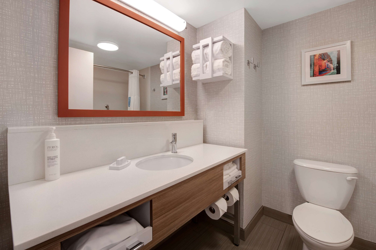 Bathroom 3, Hampton Inn Anderson/ Alliance Business Park, Anderson