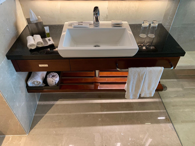 Bathroom 5, Le Méridien Ahmedabad, Ahmadabad