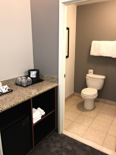 Bathroom 4, Courtyard Mcallen Airport, Hidalgo