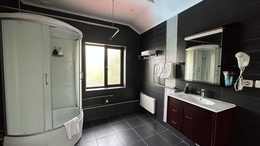 Bathroom 4, Tian-Shan Hotel, Bishkek