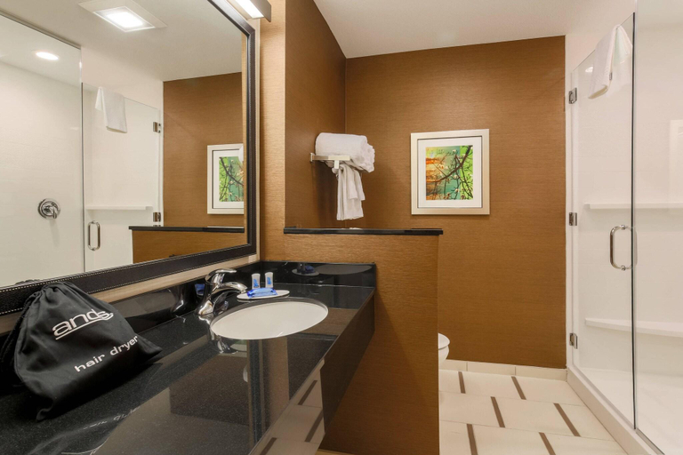 Bathroom 4, Fairfield Inn & Suites Cotulla, La Salle