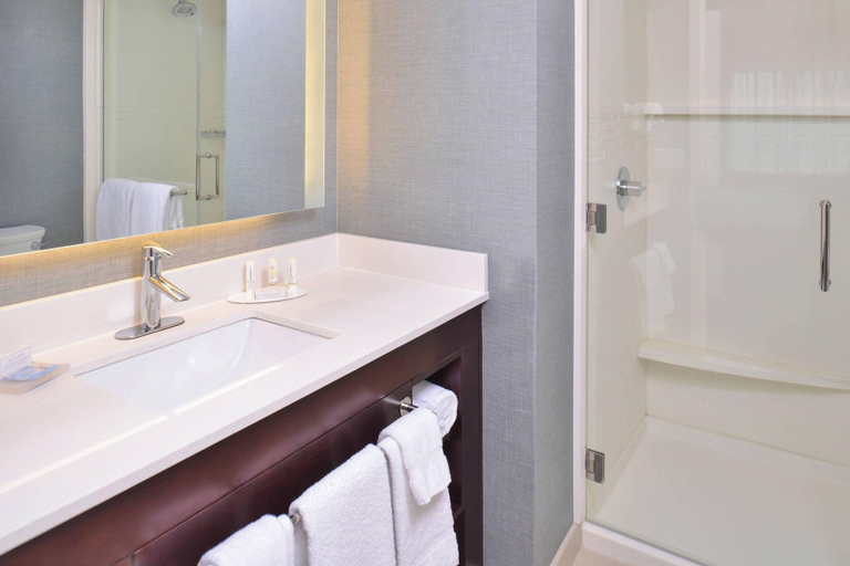 Bathroom 5, Residence Inn Cedar Rapids South, Linn