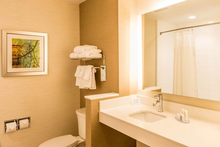 Bathroom 4, Fairfield Inn & Suites Mobile Saraland, Mobile