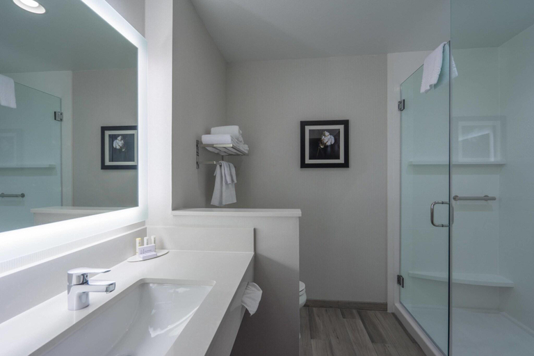 Bathroom 4, Fairfield Inn & Suites Lubbock Southwest, Lubbock