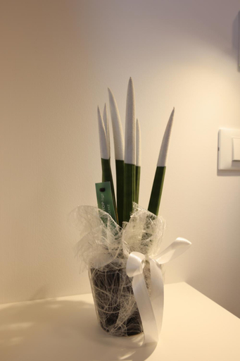 Food & Drinks 5, Ruffini Rooms, Campobasso