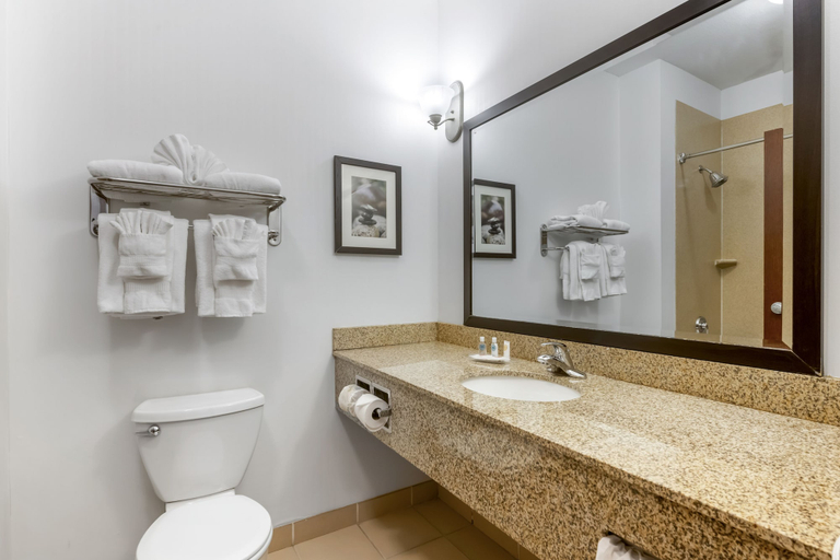 Bathroom 4, Comfort Suites Conference Center Rapid City, Pennington