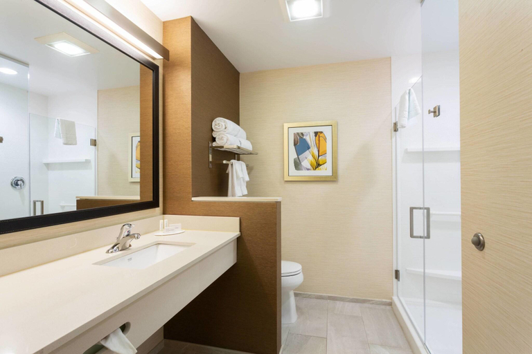 Bathroom 4, Fairfield Inn & Suites Fort Lauderdale Downtown/La, Broward