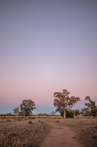 Others 5, Gilgooma Camp Ground, Coonamble