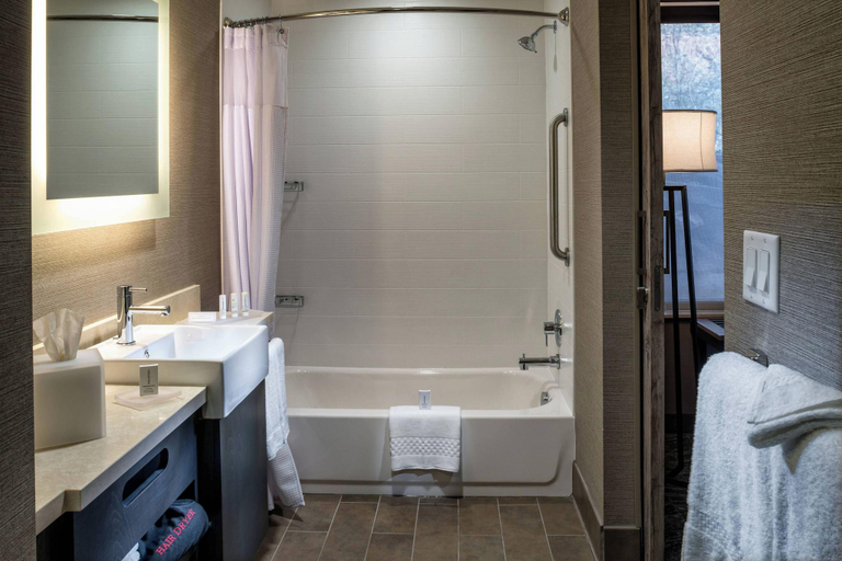 Bathroom 4, SpringHill Suites Springdale Zion National Park, Washington