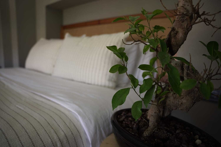 Bedroom 3, Soas Suites, Çeşme