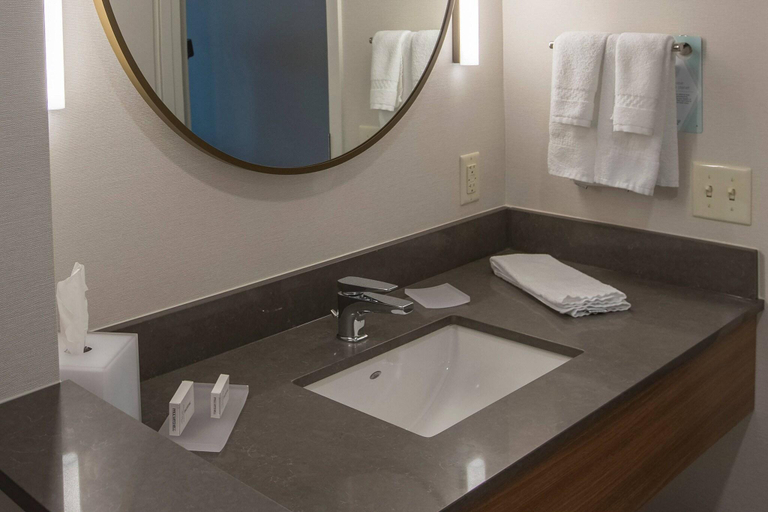 Bathroom 4, Fairfield Inn & Suites Philadelphia Valley Forge, Chester