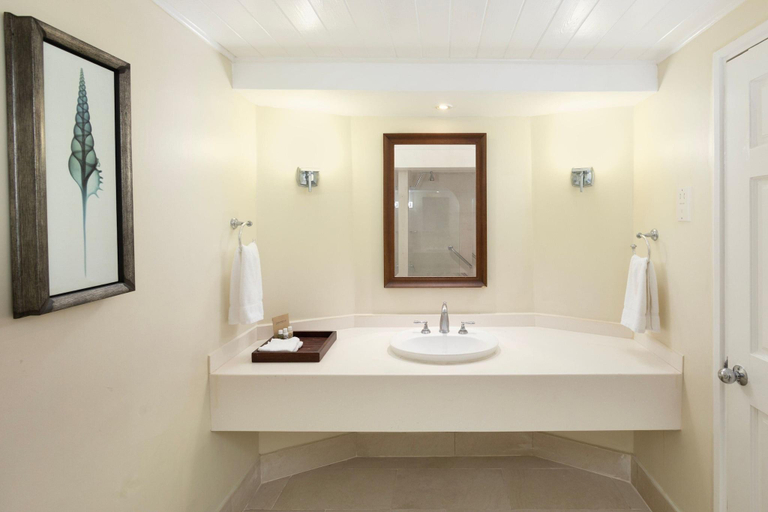 Bathroom 5, Turtle Beach