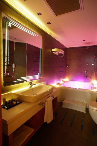 Bathroom 4, dovsOtel, Merkez