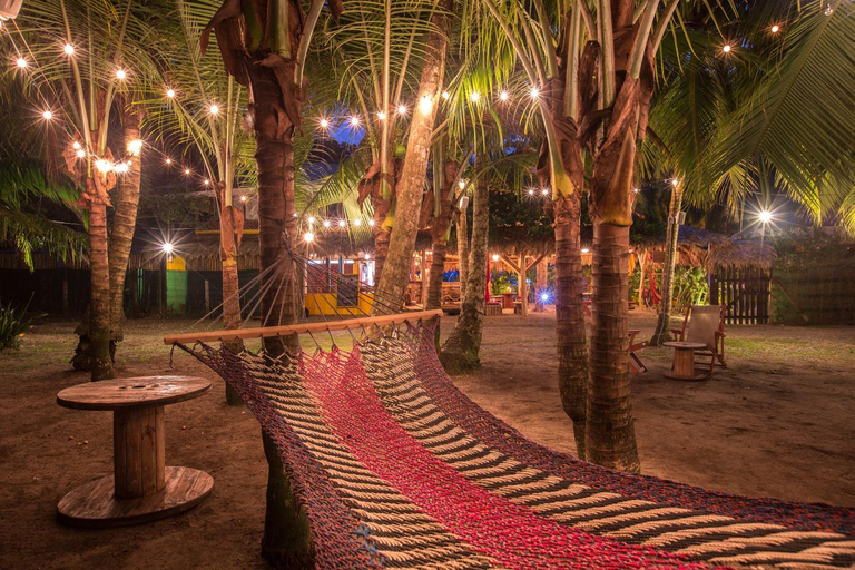 Others 5, Playa 506 Beachfront Hostel, Talamanca
