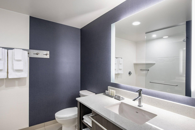 Bathroom 4, Residence Inn By Marriott Winnipeg, Division No. 11