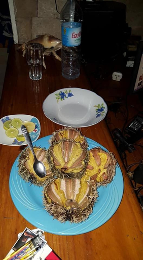 Food & Drinks 5, Ankasy Lodge, Atsimo-Andrefana