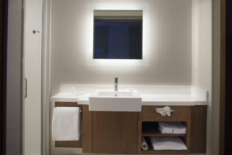 Bathroom 4, SpringHill Suites by Marriott Augusta, Richmond