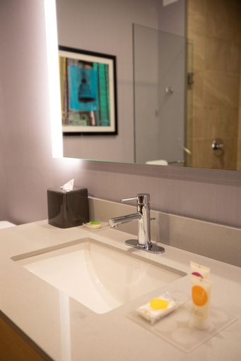 Bathroom 4, Hyatt Place Saltillo, Saltillo