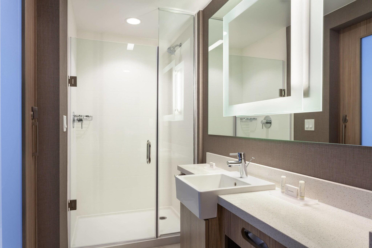 Bathroom 4, SpringHill Suites Orlando at Millenia, Orange