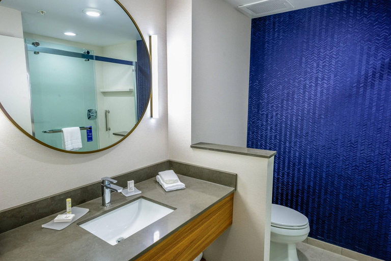 Bathroom 4, Fairfield Inn & Suites by Marriott Scranton Montage Mountain, Lackawanna