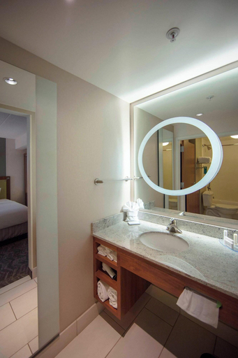 Bathroom 5, Springhill Suites Athens West, Oconee
