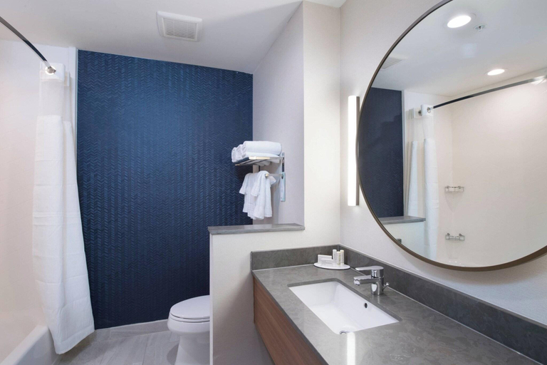 Bathroom 5, The Fairfield Inn and Suites By Marriott Tyler South, Smith