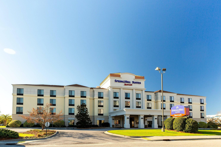 Exterior & Views 4, Springhill Suites By Marriott Florence, Florence