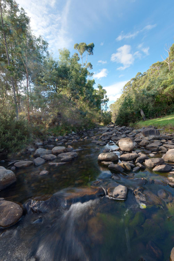Others 3, CRABTREE RIVERFRONT COTTAGES 2 cottages EMILY & ELIZA COTTAGES Beautiful riverfront peaceful locatio, Huon Valley