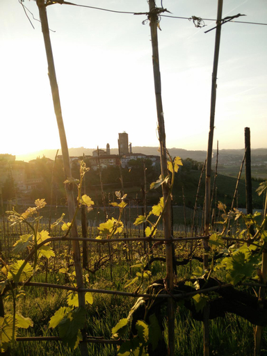 Others 5, Casa Vacanze Bellovello, Cuneo