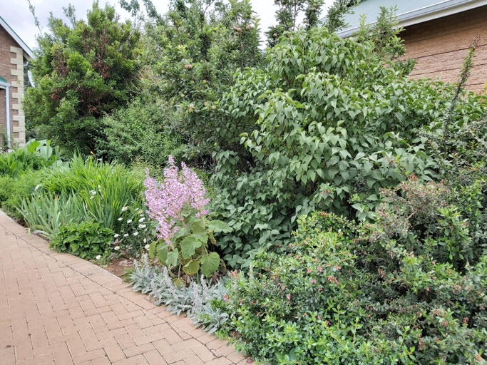 Others 3, Clarens Mountain Sage Holiday House, Thabo Mofutsanyane