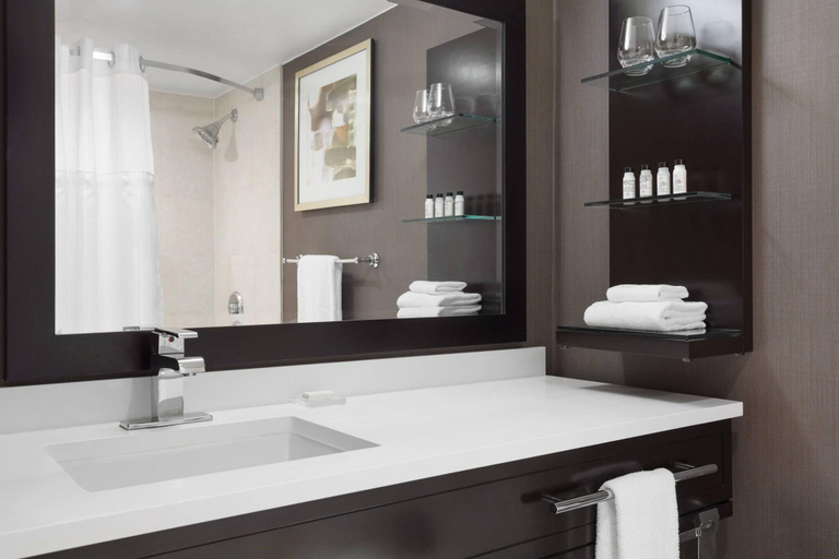 Bathroom, Delta Hotels Baltimore North, Baltimore