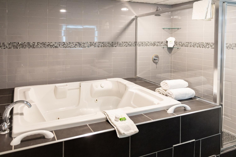 Bathroom 5, Sawridge Inn & Conference Centre Edmonton South, Division No. 11