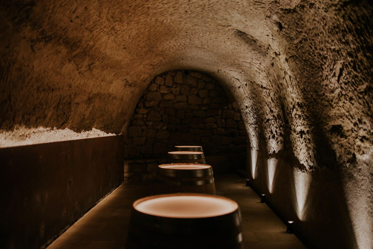 Public Area 3, Palacio Tondon, Autograph Collection, La Rioja