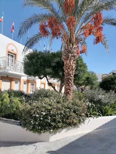 Exterior & Views 2, Katerina Aprtments, South Aegean