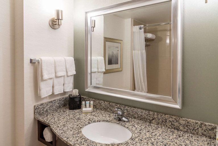Bathroom 4, Hilton Garden Inn North Little Rock, Pulaski