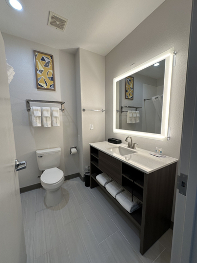 Bathroom 5, Comfort Inn & Suites Schulenburg, Fayette