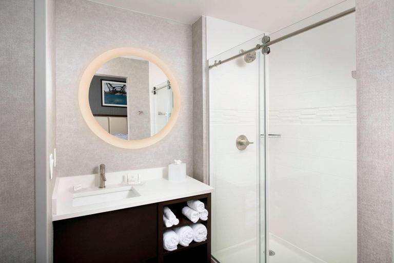 Bathroom 4, SpringHill Suites by Marriott Atlanta Downtown, Atlanta