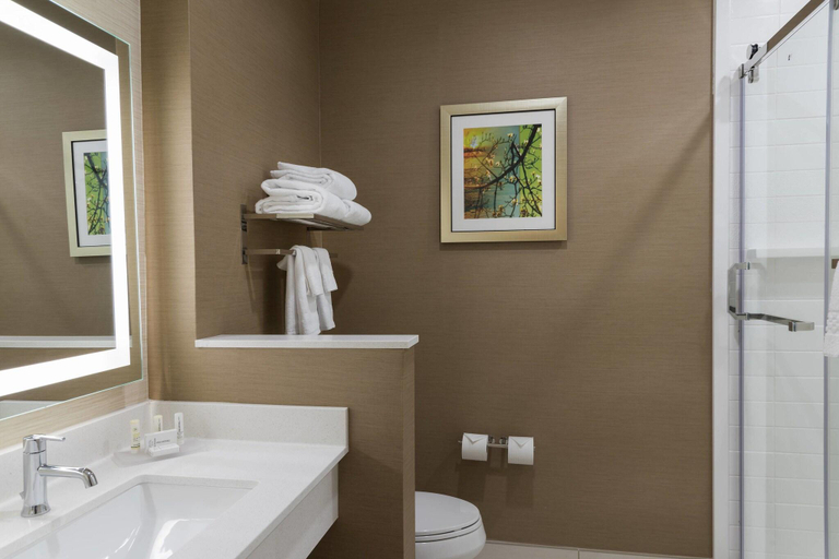 Bathroom 4, Fairfield Inn & Suites West Monroe, Ouachita
