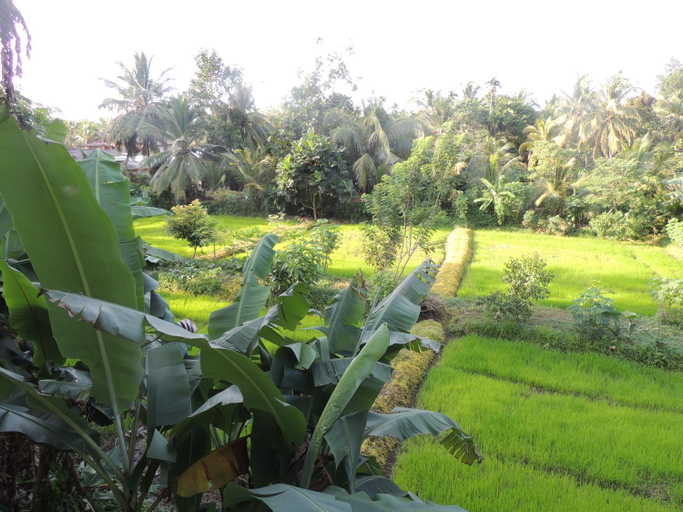 Others 5, Arana Bungalow, Galle Four Gravets