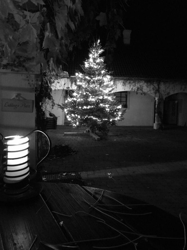 Others 2, Weingut Burger, Hollabrunn
