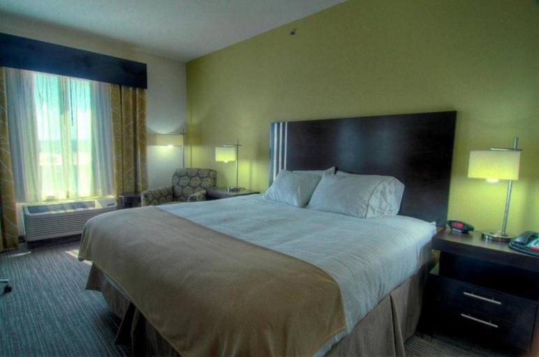 Bedroom, Holiday Inn Express Conway By IHG, Faulkner