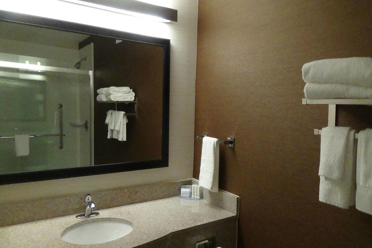 Bathroom 4, Fairfield Inn & Suites by Marriott Atlanta Buford/, Gwinnett