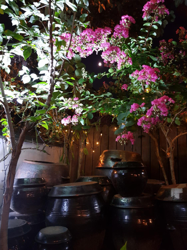Others 5, Hanok Story Guesthouse, Jeonju