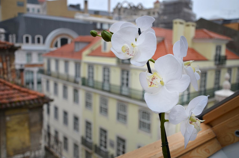 Exterior & Views 2, Browns Boutique Hotel, Lisbon