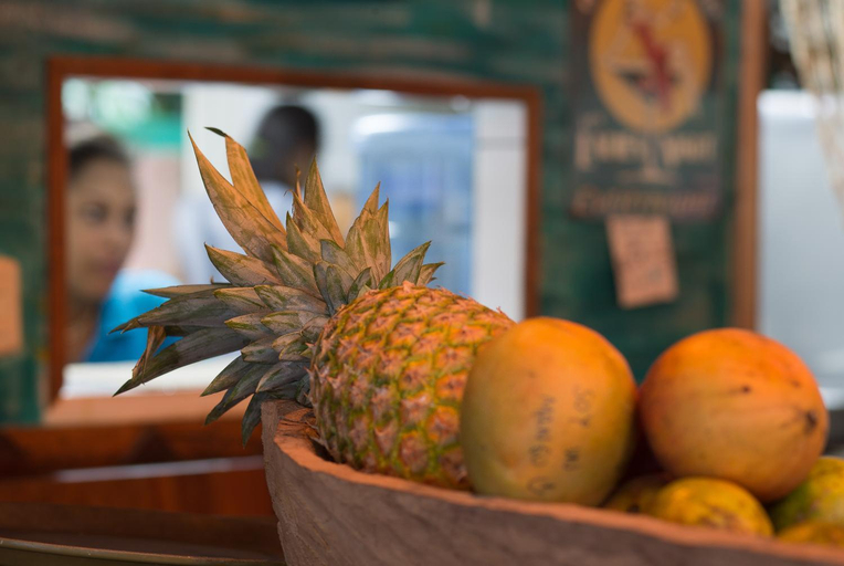 Food & Drinks 5, Playa 506 Beachfront Hostel, Talamanca