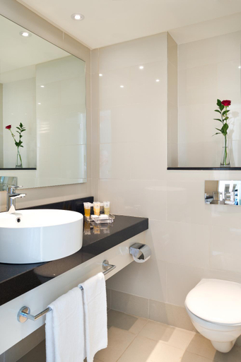 Bathroom 5, Isrotel Yam Suf Hotel