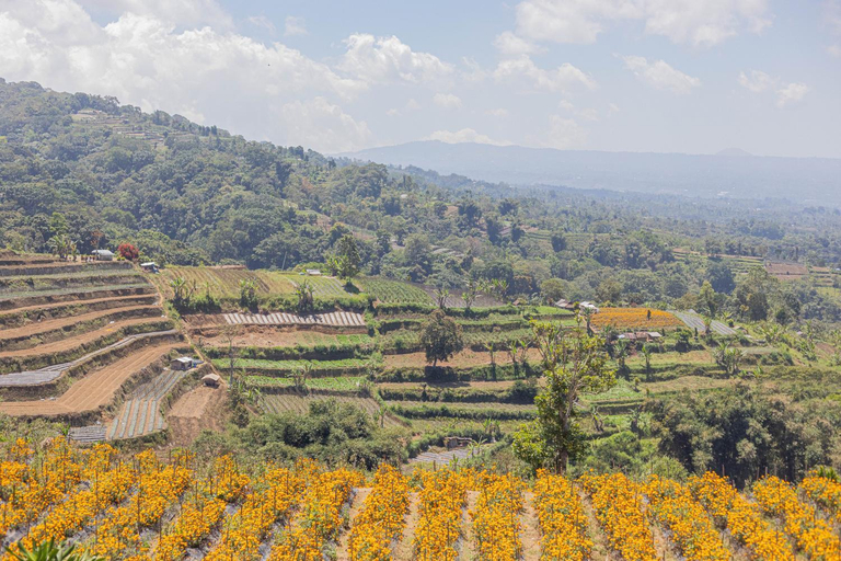 Others 4, Lavender - Taman Tanda, Tabanan