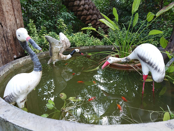 Others 5, Lopburi Palm Resort, Muang Lop Buri
